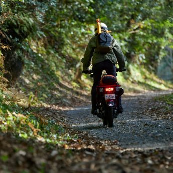 CT125 HUNTER CUB Image 7