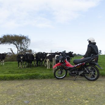 XRM125 Image 3