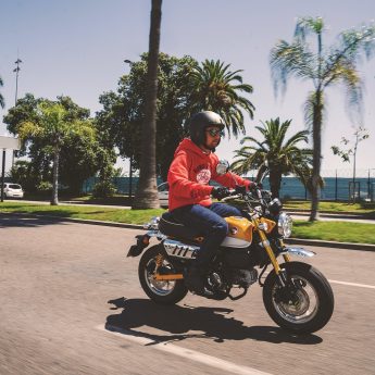 Z125 MONKEY Image 9