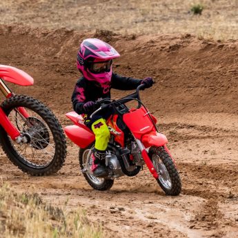 Adjustable Throttle Image