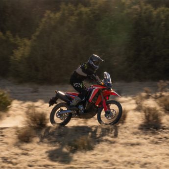 CRF300L Rally Image 5