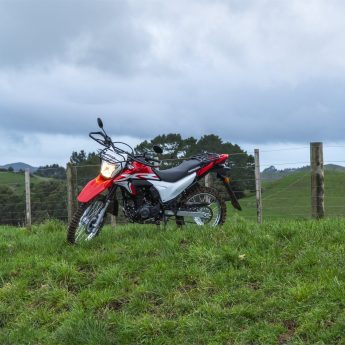 XR190 Image 6