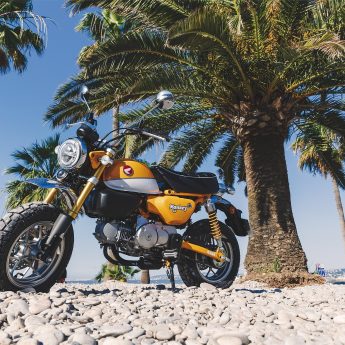 Z125 MONKEY Image 7