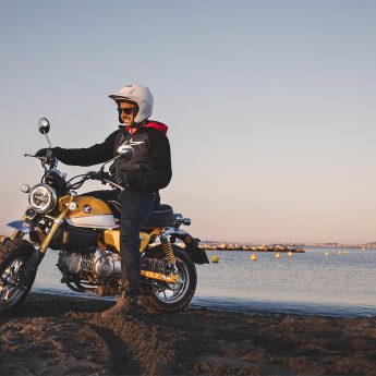 Z125 MONKEY Image 5