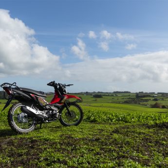 XRM125 Image 5