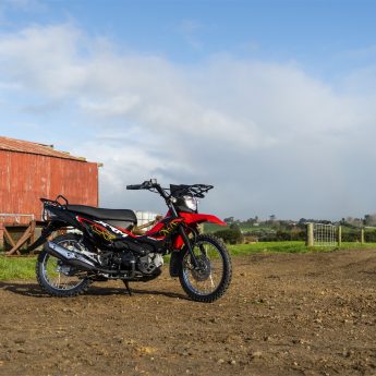 XRM125 Image 6