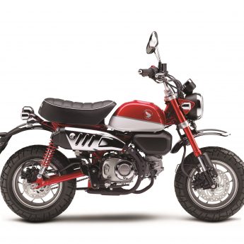 Z125 MONKEY Image 10