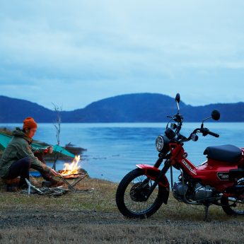 CT125 HUNTER CUB Image 8