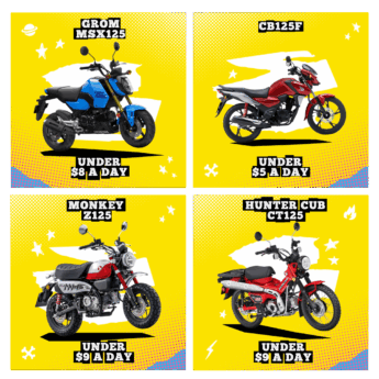 CT125 HUNTER CUB Image 3